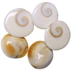 Gomti Chakra Original 5Pcs