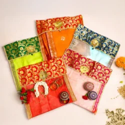 Saree Cover