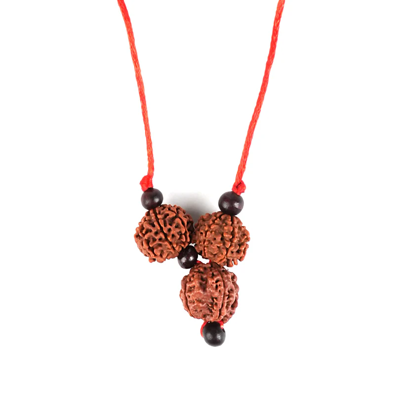 Rudraksha Business Shakti Kavach with Certificate - Image 2