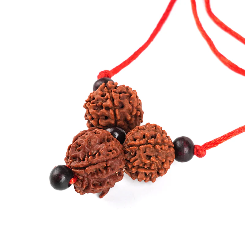 Rudraksha Business Shakti Kavach with Certificate - Image 3