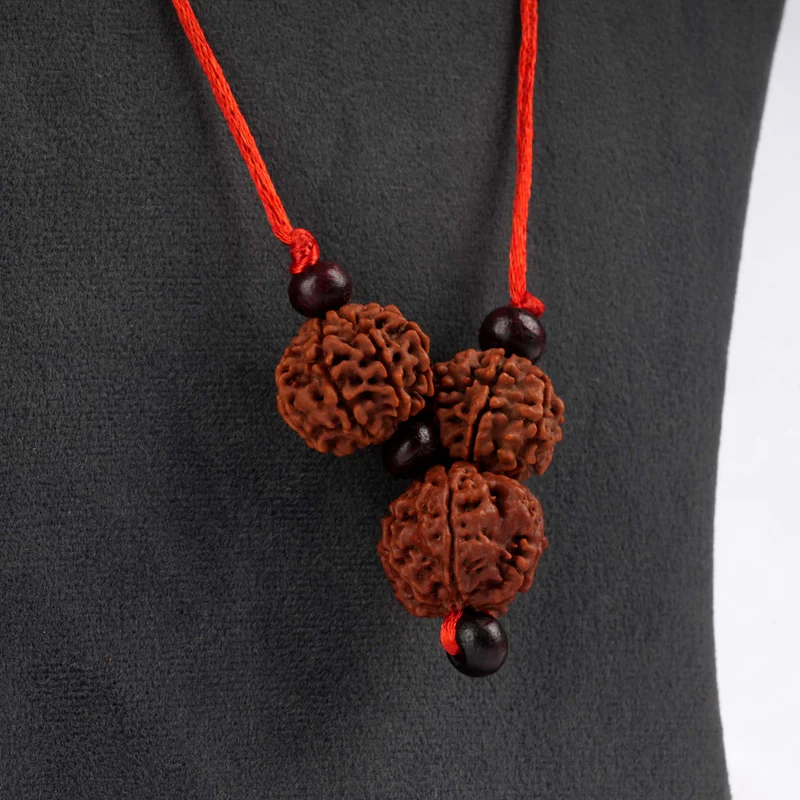 Rudraksha Business Shakti Kavach with Certificate - Image 4