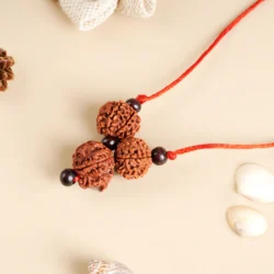 Rudraksha Business Shakti Kavach with Certificate
