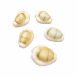 Yellow Laxmi Kori/ Kodi 5Pcs